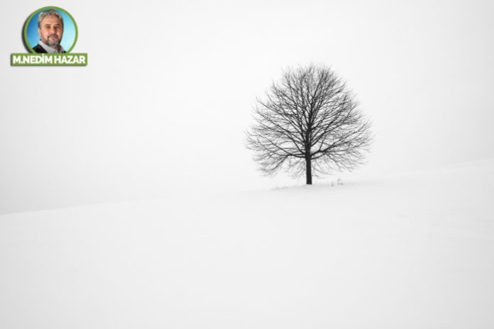 fabrice-villard-Du41jIaI5Ww-unsplash