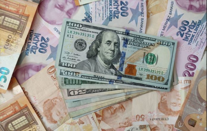 dolar-turk-lirasi-10