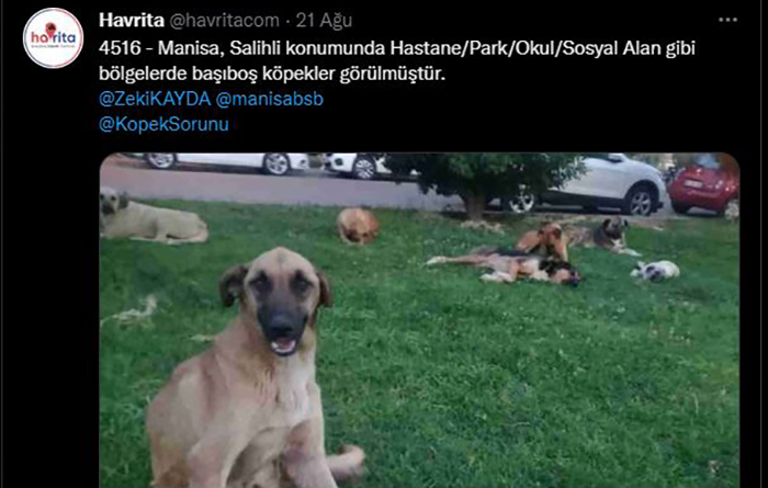 Köpek katliamlarından sorumlu tutuluyordu; Havrita’ya erişim engeli