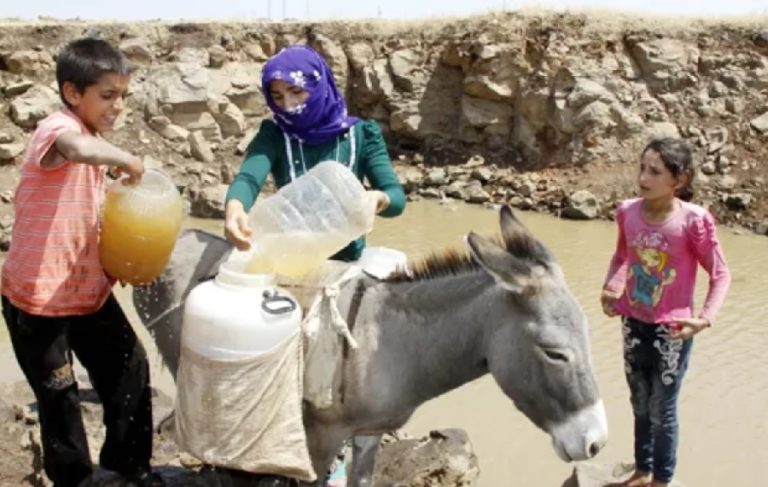 Şanlıurfa’da milyon dolarlık proje çöktü, köylüler eşeklerle su taşıyor