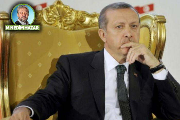 Ceviz ağacı!