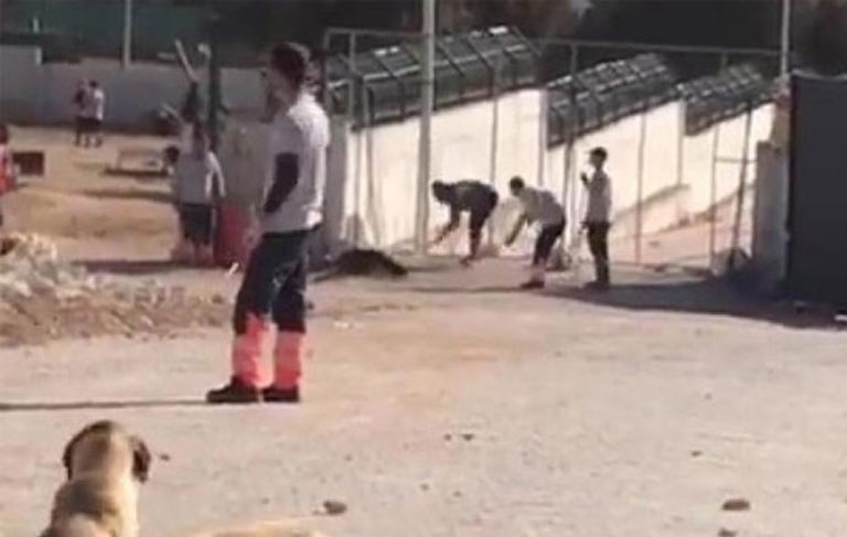 Konya’da işkenceyle köpeği katleden 2 kişi tutuklandı