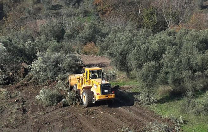 Yasa geçti; zeytinlikler madencilik faaliyetlerine açıldı