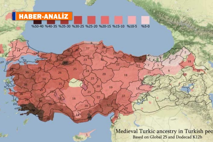 Elimizde bir Türklüğümüz vardı o da gitti