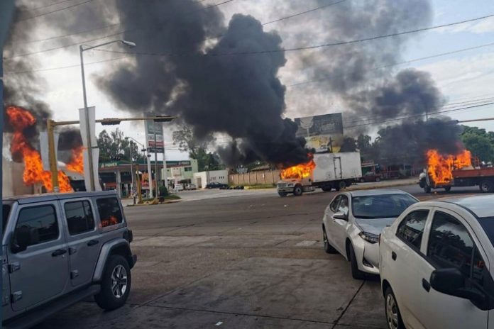 mexico cartel