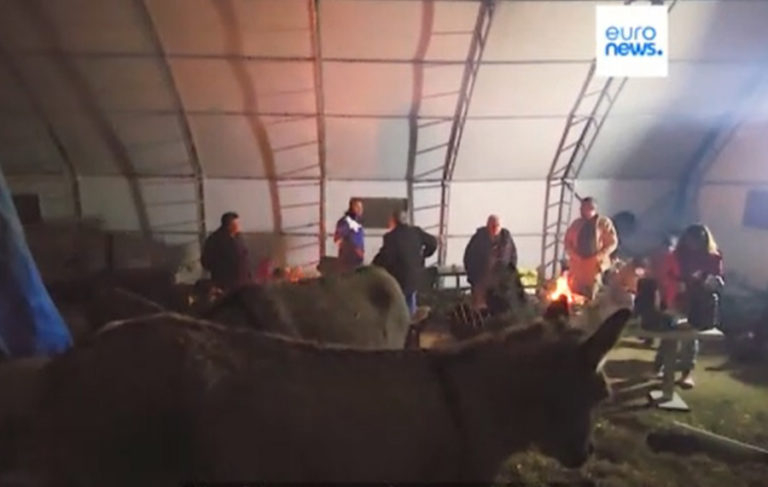 Osmaniye’de onlarca depremzede hayvan barınağına sığındı 