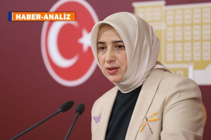 ZENGİN 1