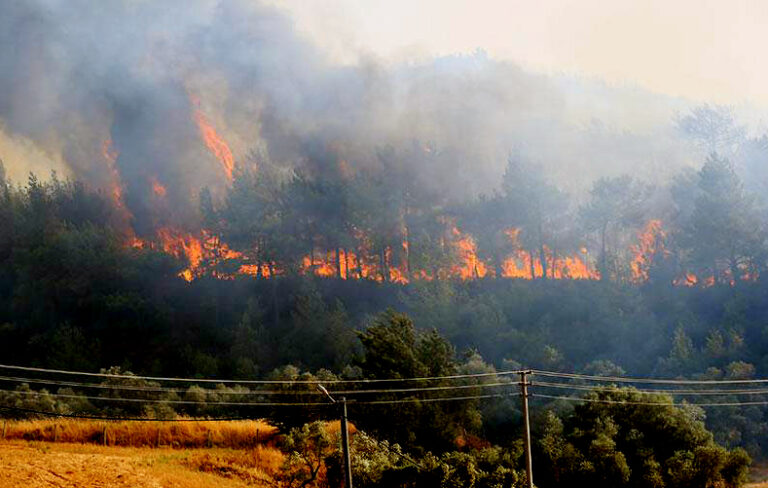 Milas’ta orman yangını; havadan ve karadan müdahale ediliyor