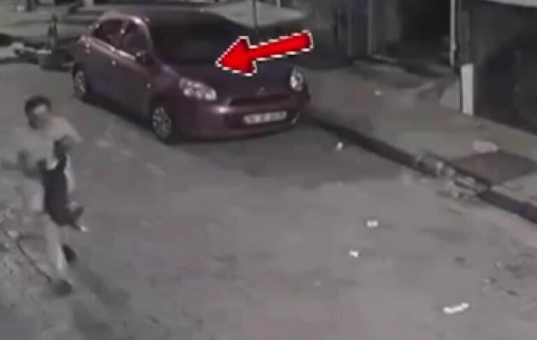 Bayrampaşa’da kaçırdığı kediyi tekmeleyip öldüren kişi tutuklandı