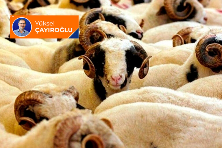 Besmelesiz kesilen hayvanın eti yenir mi?