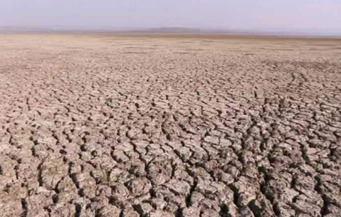 büyükçekmece-gölü