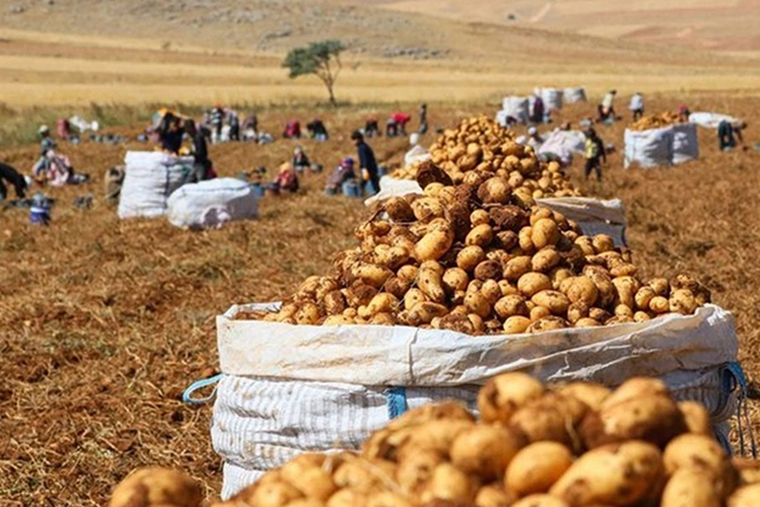 Çiftçi 5 bin TL emekli ikramiyesi için kayıt sildiriyor
