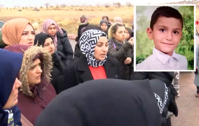 sokak-köpekleri-ankara