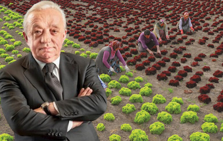 Yandaş müteahhit Mehmet Cengiz’in tarım arazilerini yok edeceği projesi onaylandı