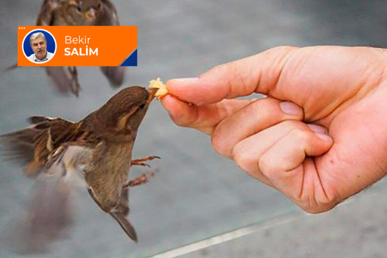 Bekir Salim’in kaleminden: “Ya Rab, bizi insan eyle!”