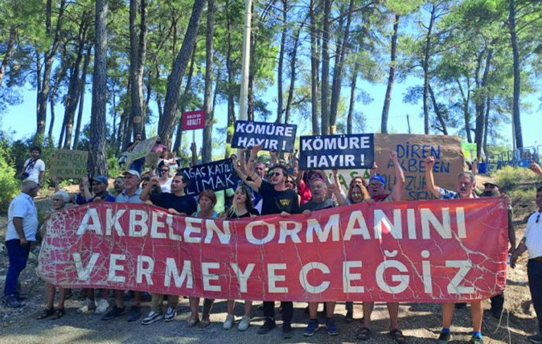 Erdoğan imzaladı; Akbelen Ormanı’nın çevresi maden sahası için kamulaştırıldı