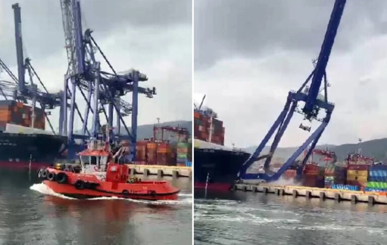 Kocaeli’de limana yanaşan konteyner gemisi 3 vinci devirdi