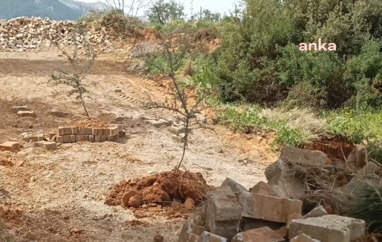 Seçimi kaybeden muhtar ‘tapulu arazim’ diyerek yoldaki parkeleri söküp ağaç dikti