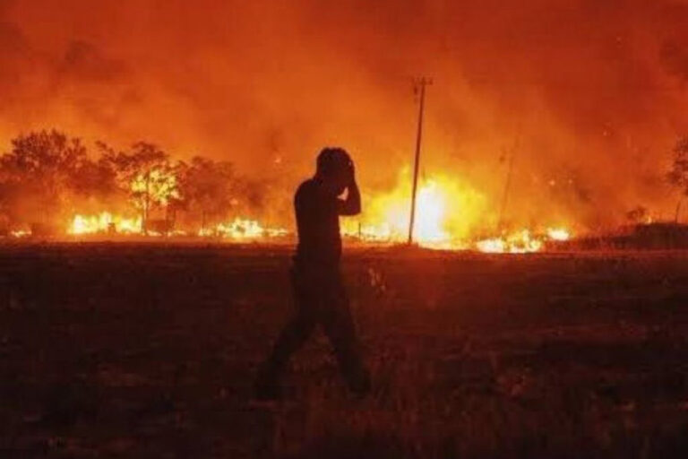Elektrik Mühendisleri Odası: Bölgede anız yok, elektrik direklerinin etrafında yangına karşı önlem alınmamış