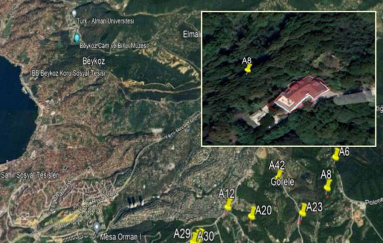 Erdoğan imzaladı; İstanbul’un oksijen deposu orman dışına çıkarıldı: Villalara alan mı açılıyor?