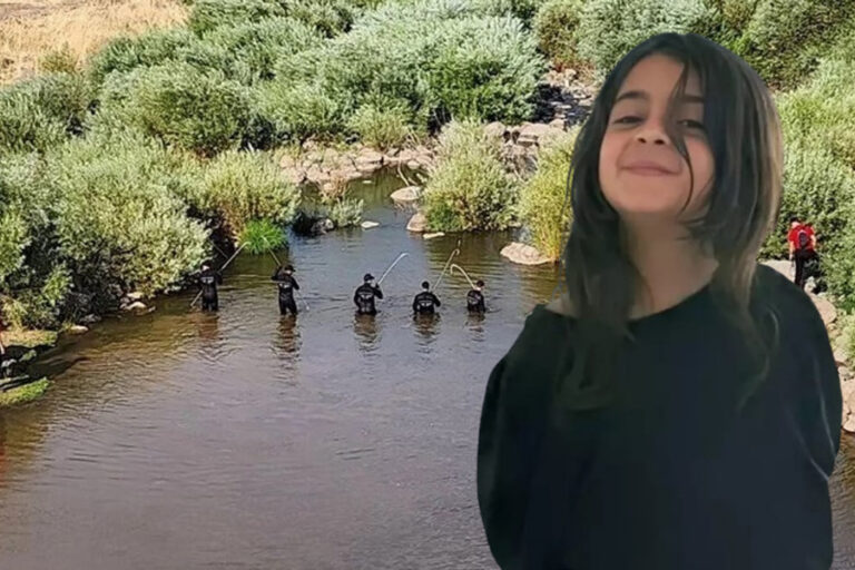 Narin Cinayeti | Diyarbakır Barosu’nun ‘müşteki’ olma talebi kabul edildi