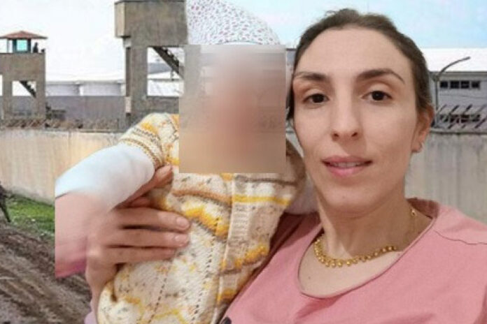 nazan gözen