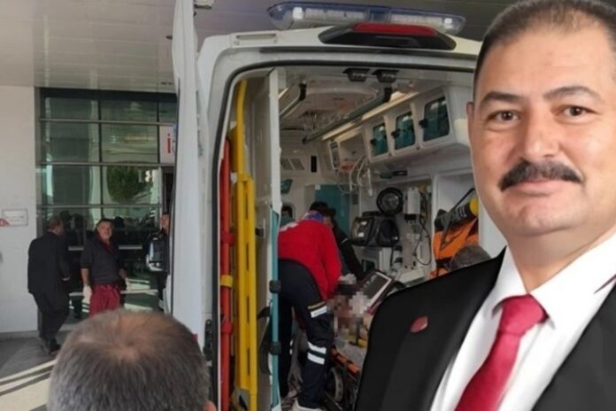 hilmi şen