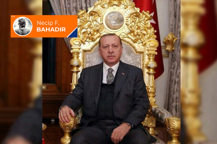 erdogan-saray-12