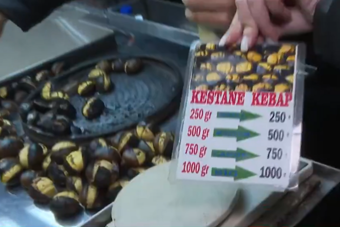 kestane-1000