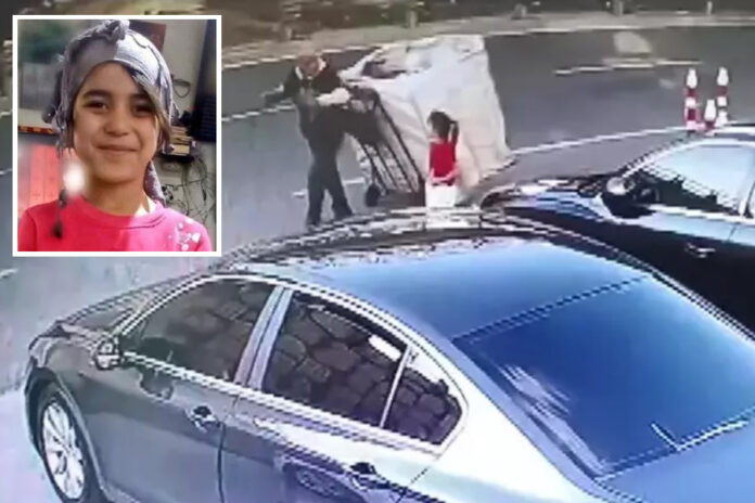 Şirin Elmas Hanilçi