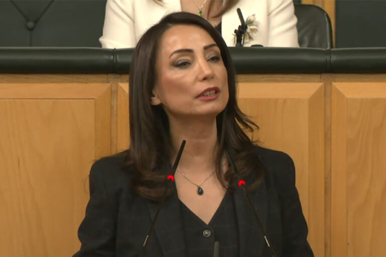 DEM Parti Eş Genel Başkanı Hatimoğulları: “İktidarın yol haritası açıklaması şarttır”