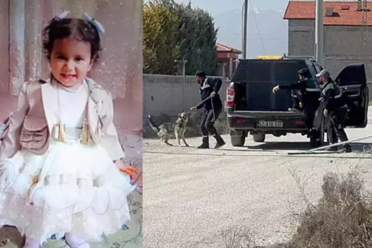 Konya’da sokak köpekleri 2 yaşındaki Rana’yı parçaladı