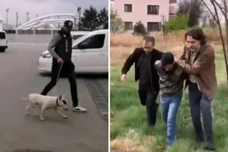 Ankara’da 10 bin euro değerindeki köpeği çalan hırsız yakalandı