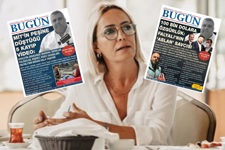 Gazetecilerden Ayşemden Akın’ın korunması için imza kampanyası