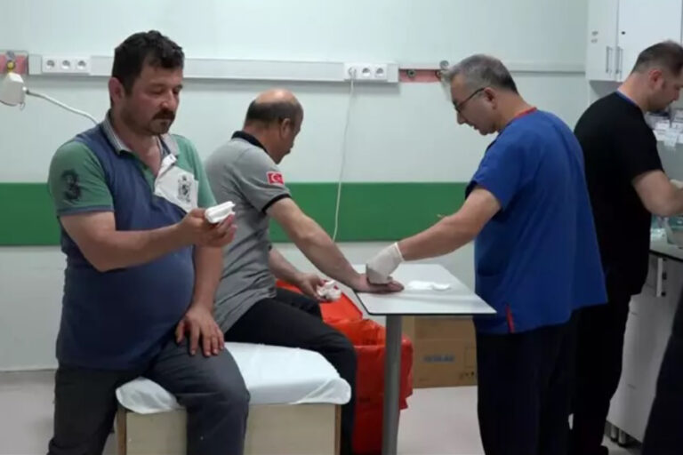 Kurban Bayramı’nın ilk gün ‘acemi kasap’ bilançosu: 14 bin 372 kişi yaralandı