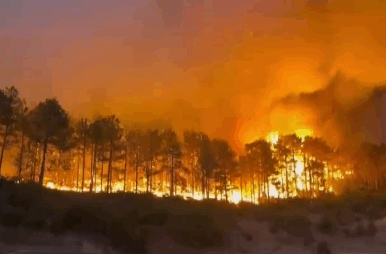 Bakan İbrahim Yumaklı: “4 orman yangını sürüyor, 3 bin 515 vatandaşımız tahliye edildi”