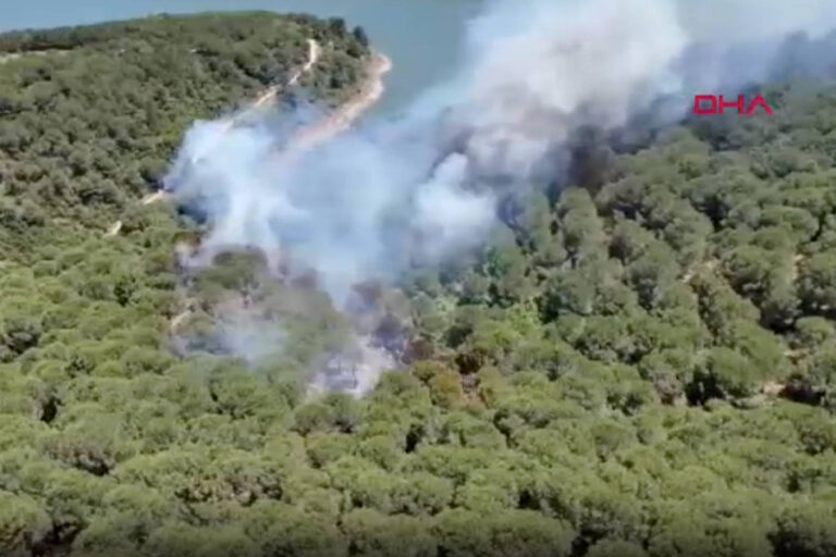 İstanbul’da orman yangını