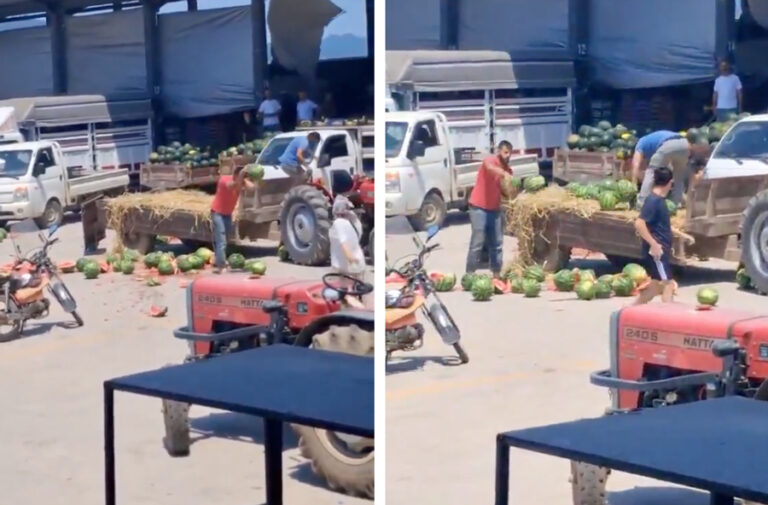 Bakanlık açıkladı; protesto için karpuzları yere atan çiftçilere ‘en ağır ceza’ verilecek!