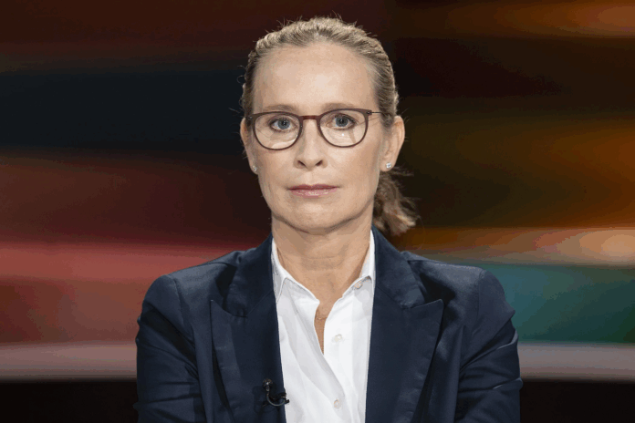 frauke brosius-gersdorf