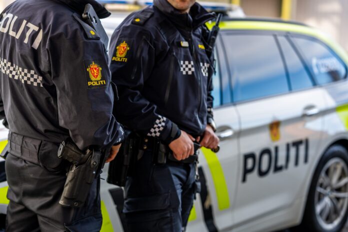 norveç polis