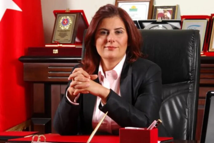 özlem çerçioğlu