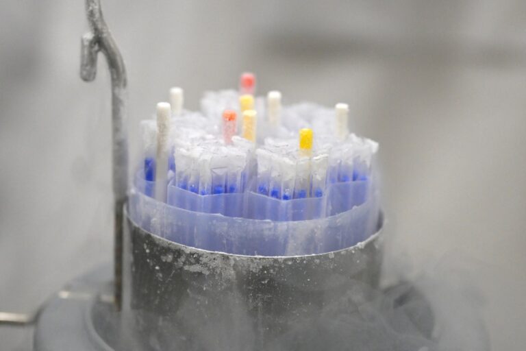 Danimarka | Kanser riskini artıran gen taşıyan sperm donöründen 200 çocuk dünyaya geldi