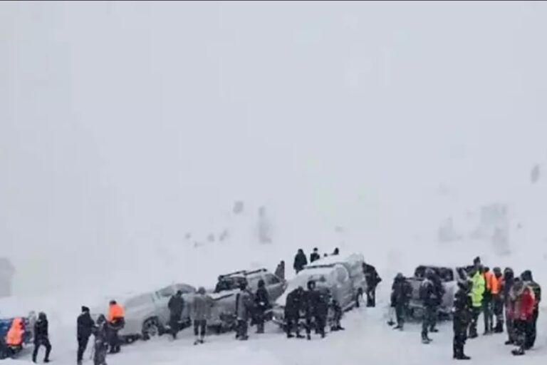 Artvin’de çığ faciası: 3 çobandan 1’inin cansız bedenine ulaşıldı