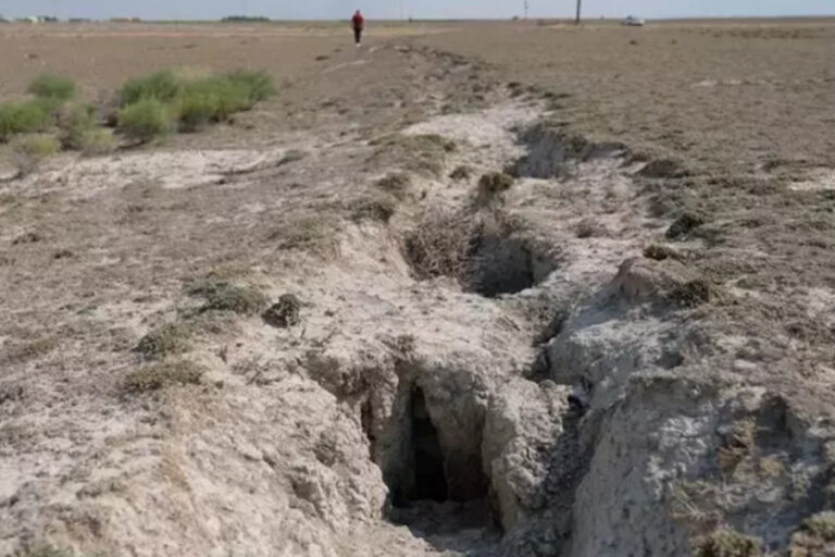 Konya Ovası her yıl 10 santimetre çöküyor!