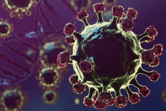 Hindistan’dan Nipah virüsü açıklaması