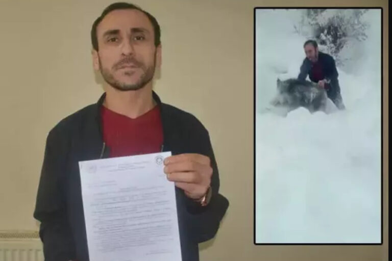 Sinop’ta domuzu elleriyle yakalayan kişiye 15 bin lira ceza kesildi