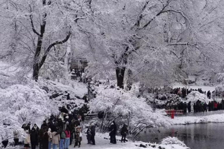 New York’ta soğuk hava nedeniyle 18 kişi hayatını kaybetti