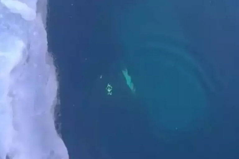 Rusya’da turistlerin bulunduğu tur aracı Baykal Gölü’ne düştü: 8 ölü