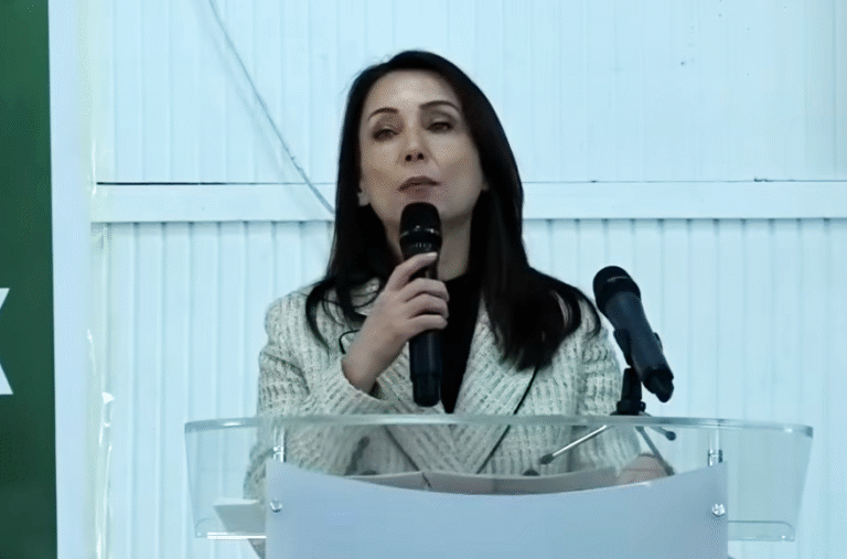 Tülay Hatimoğulları: “Yasanın, PKK’lıları da kapsayacak şekilde çıkması gerekiyor”