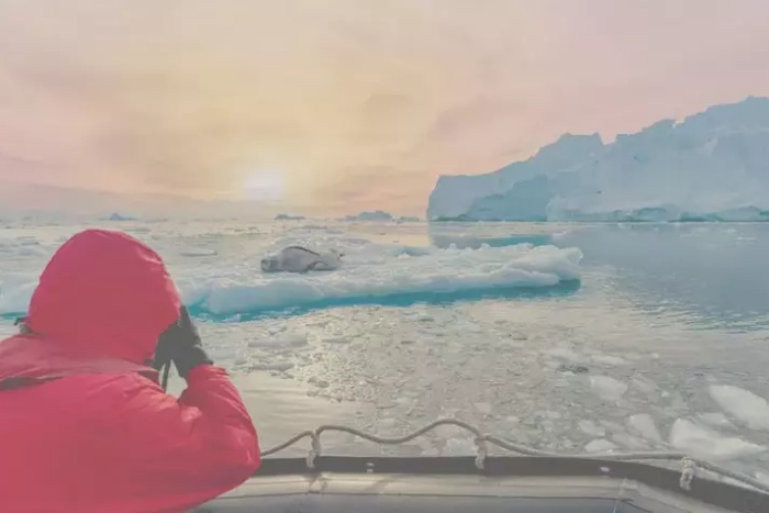 Liyakat dondu; Kutup Kurulu’na tek uzman var, diğerleri ne iş yapıyor?